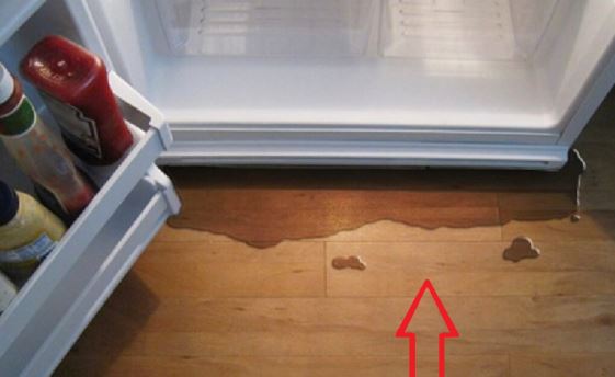 Phía sau tủ lạnh có 1 khay nước, làm theo cách này tủ chạy 10 năm vẫn bền, tiết kiệm điện