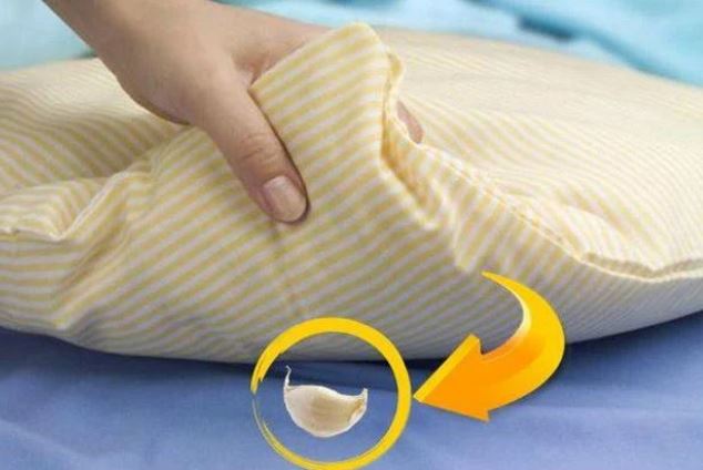 Nhét 1 tép tỏi dưới gối, qua một đêm thấy ngay lợi ích, nam hay nữ đều quý