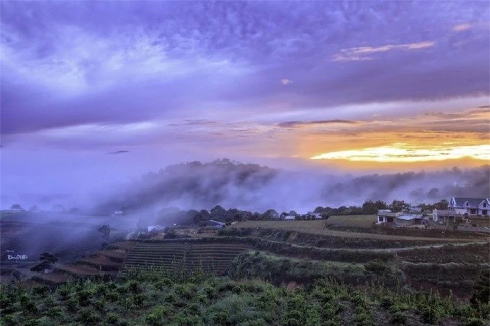Top 9 địa điểm săn mây đẹp, thơ mộng khi đến Đà Lạt
