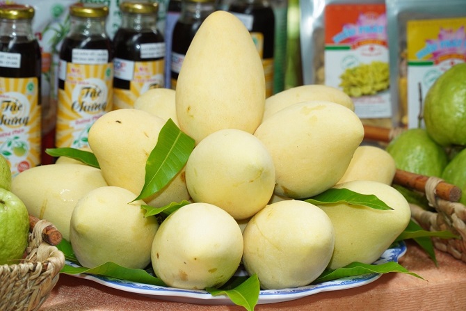 “Bàn” giải pháp nâng cao giá trị và phát triển bền vững ngành xoài