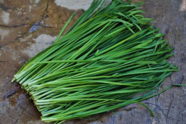 Tác dụng của lá hẹ với nam giới không nên bỏ qua