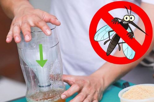 Pha nửa thìa muối vào bia, mẹo hay giải quyết nhiều vấn đề khó nhằn trong nhà