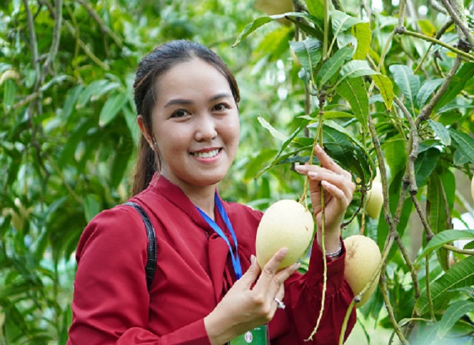 Đồng Tháp khai mạc lễ hội xoài