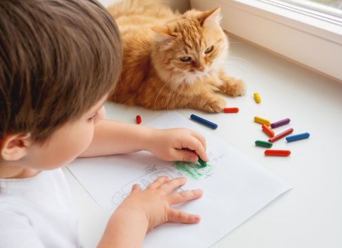 Trẻ thuận tay trái hay tay phải thông minh hơn?