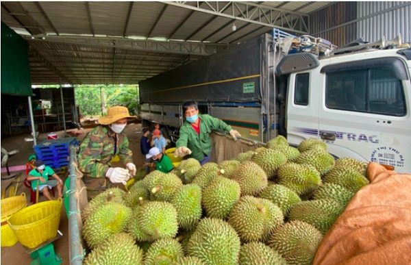 Hợp tác thương mại với Trung Quốc trong giai đoạn hiện nay vừa là thời cơ vừa là thách thức