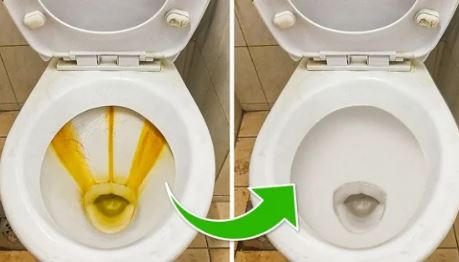 Nắp và bệ bồn cầu bị ố vàng lâu năm: Làm theo cách này sạch tinh như mới, hết cả mùi hôi