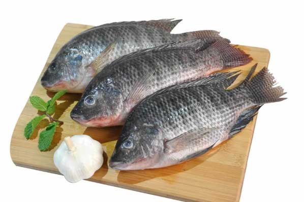 4 loại cá bị đánh giá ‘độc hại', dễ nhiễm ký sinh trùng, nhiều người vẫn ăn mà không biết