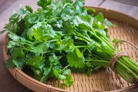 Không cần dùng nước hoa hay sữa tắm đắt đỏ: 3 loại lá càng dùng cơ thể càng thơm ngát