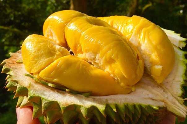 7 loại quả gây tăng cân nhanh hơn bạn nghĩ: Ăn quá nhiều sẽ tích mỡ bụng, hại da