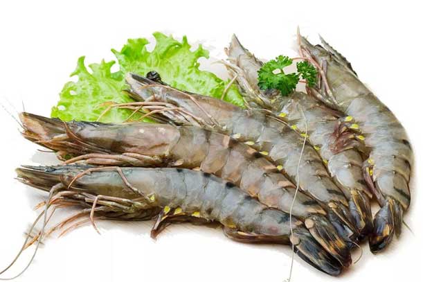 Người bán tôm tiết lộ: Cách phân biệt tôm nuôi và tôm tự nhiên rất đơn giản, tinh ý không bao giờ nhầm lẫn