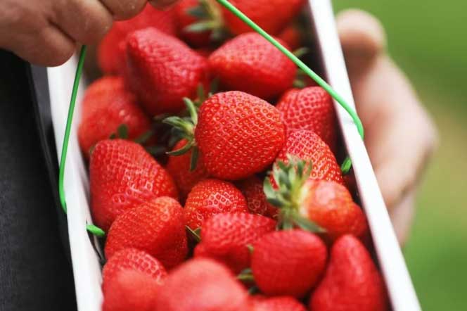 12 loại rau củ quả bị nhiễm thuốc trừ sâu nhiều nhất, nên cẩn thận khi mua về ăn