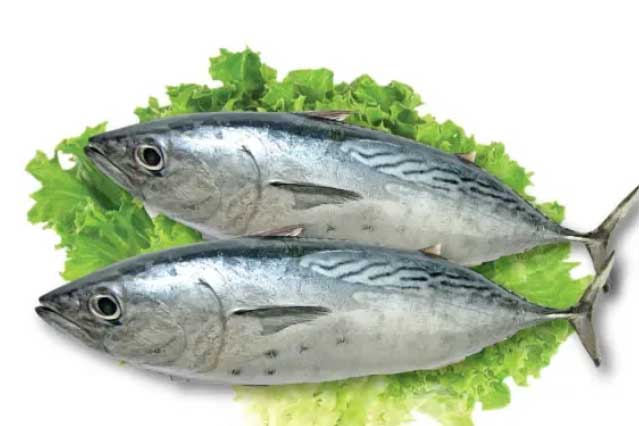 5 loại cá chứa nhiều thủy ngân chớ dại ăn nhiều kẻo hối không kịp: Đặc biệt loại thứ 3 nhiều người mê tít