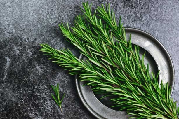 5 loại lá càng dùng cơ thể càng thơm ngát: Chị em chăm dùng mỗi ngày, khỏi tốn tiền nước hoa