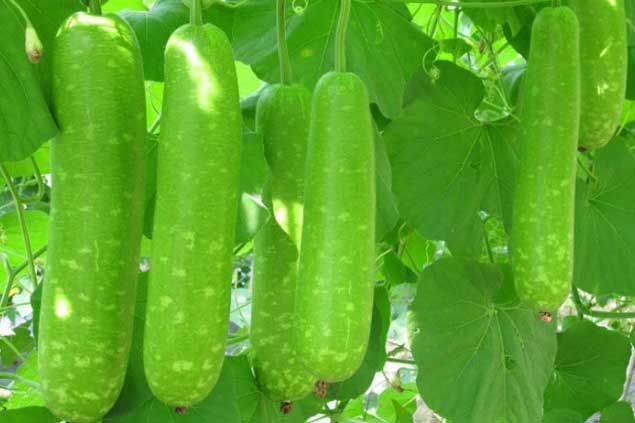 Người bán rau tiết lộ: Ra chợ thấy 7 loại rau này đừng tiếc tiền mua, vừa sạch vừa bổ, không lo phun thuốc