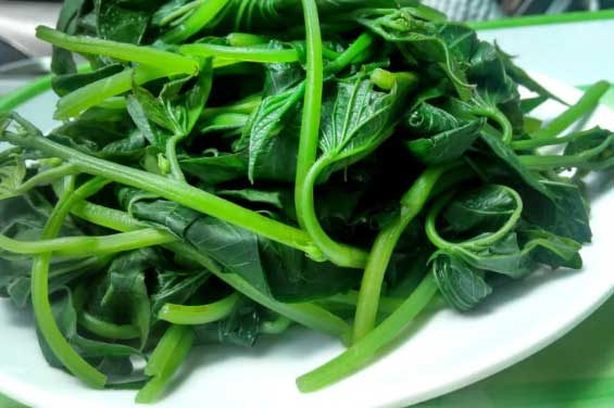 Loại rau người Nhật coi là ‘thuốc trường thọ’, chợ Việt bán rẻ như cho