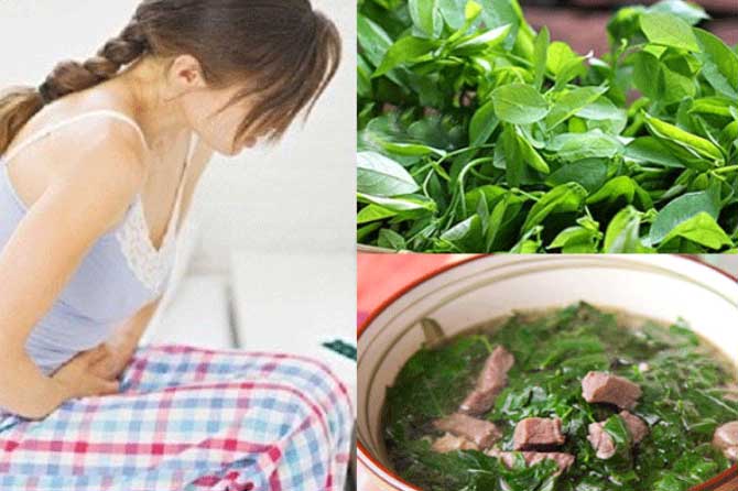 Ăn rau ngót chớ làm điều này kẻo mang bệnh lúc nào không hay, nguy hiểm hơn thuốc độc