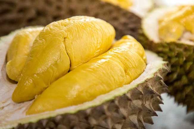 5 người không nên ăn sầu riêng kẻo hại cho sức khỏe