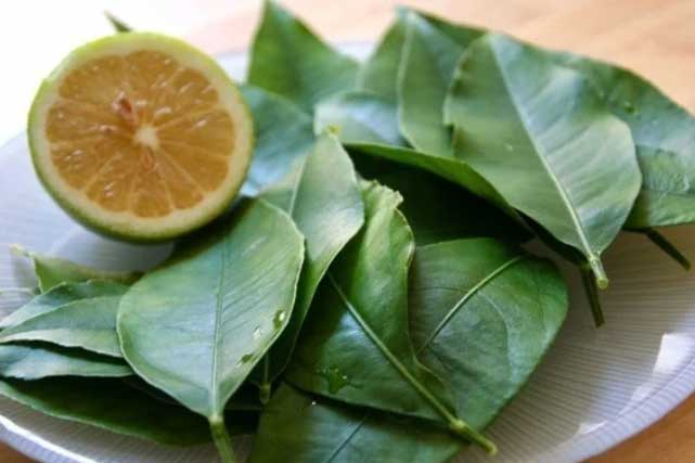 Loại lá ở nước ngoài bán 6 triệu/kg, ở Việt Nam ra vườn là có, làm mát gan cực tốt