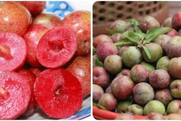 Những lợi ích tuyệt vời của quả mận với sức khỏe