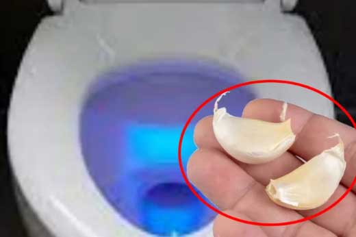 Thả tép tỏi vào bồn cầu rồi để qua đêm, tưởng lãng phí ai ngờ nhận được lợi ích tuyệt vời