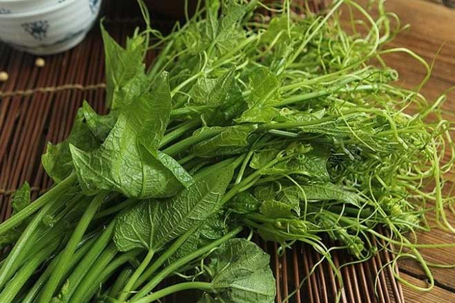 Loại rau giàu vitamin C, được ví là ‘thịt của người ăn chay’, ra chợ gặp nhớ mua ngay