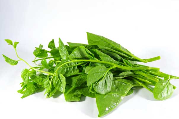 Rau mồng tơi ngon bổ, lành tính nhưng có 4 đại kỵ khi ăn, nhiều người chưa biết