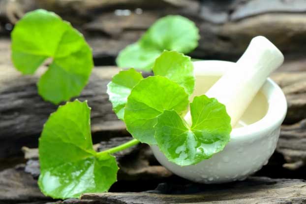 3 cách làm đẹp với rau má dưỡng da, chữa mụn, làm mờ vết thâm hiệu quả