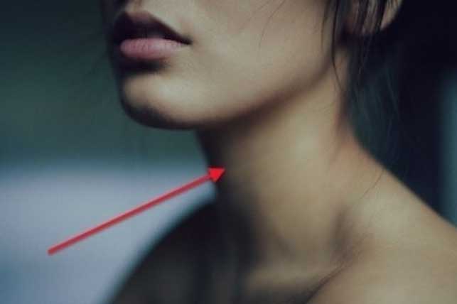 Hai bộ phận này càng tròn đầy, tuổi thọ của bạn càng bị rút ngắn