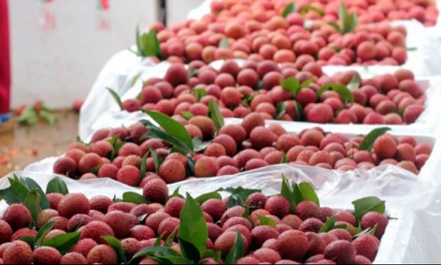 Tìm giải pháp để nông thủy sản, thực phẩm xuất khẩu không "mang tiếng" chủ yếu là nguyên liệu