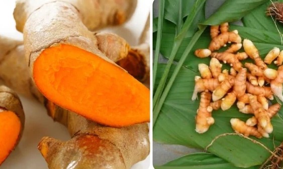 Tác hại của việc dùng nhiều nghệ 