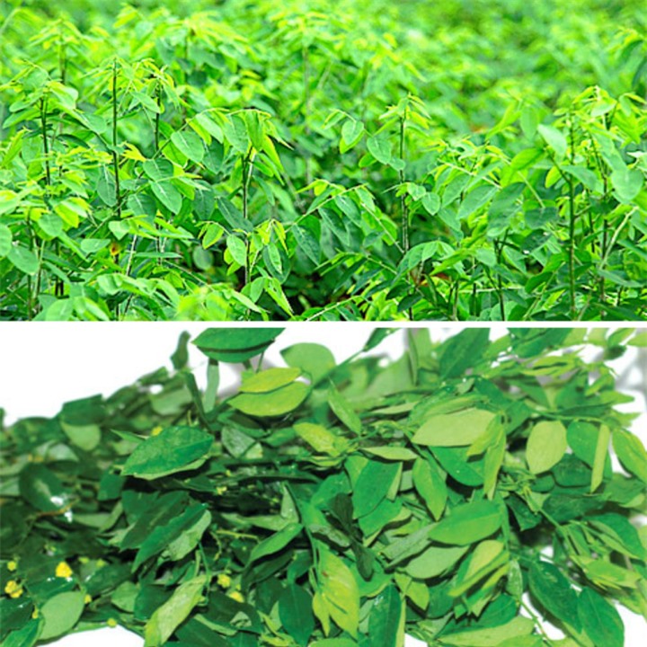 Rau ngót có tác dụng gì? - 1