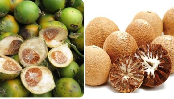 Hạt cau khô có tác dụng gì?