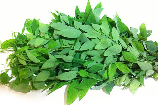 Rau ngót có tác dụng gì? 