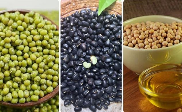 Những người không nên ăn đậu xanh, đậu đen, đậu tương