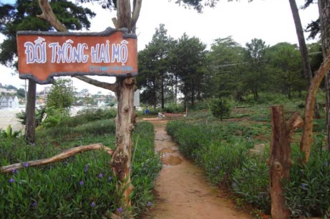 7 địa điểm bị gắn mác 'đi Đà Lạt về chia tay'