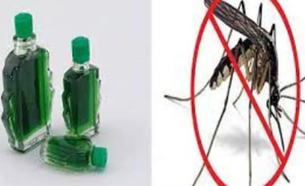 Tr&#x1B0;&#x1EDB;c khi &#x111;i ng&#x1EE7; &#x111;&#x1EB7;t b&#xE1;t n&#x1B0;&#x1EDB;c n&#xE0;y trong ph&#xF2;ng, mu&#x1ED7;i kh&#xF4;ng d&#xE1;m b&#xE9;n m&#x1EA3;ng, c&#x1EA3; nh&#xE0; y&#xEA;n t&#xE2;m ng&#x1EE7; ngon