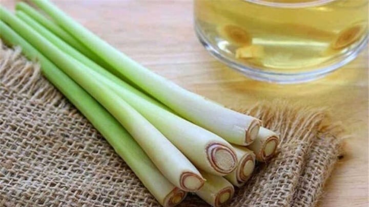 6 mẹo đuổi muỗi, tránh muỗi đốt từ thiên nhiên - 2