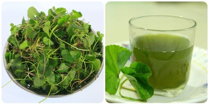 Điều gì sẽ xảy ra nếu bạn uống nước rau má mỗi ngày? - 1