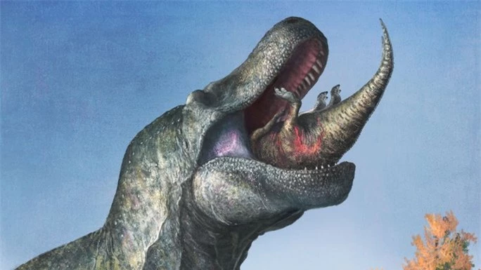 Phát hiện sốc về “quái vật mỉm cười” 66 triệu năm trước - Ảnh 1.