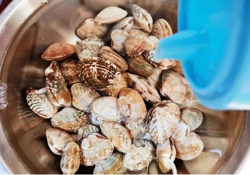 Tuyệt chiêu giúp ngao nhả cát nhanh nhất, chỉ 10 phút là sạch bong