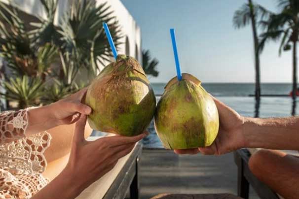 Uống nước dừa vào buổi sáng mùa hè, cơ thể sẽ có nhiều thay đổi vô cùng bất ngờ
