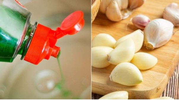 Ngâm tỏi với nước rửa bát: 'Nước thần kỳ' giải quyết nhiều vấn đề trong nhà mà rất ít người biết