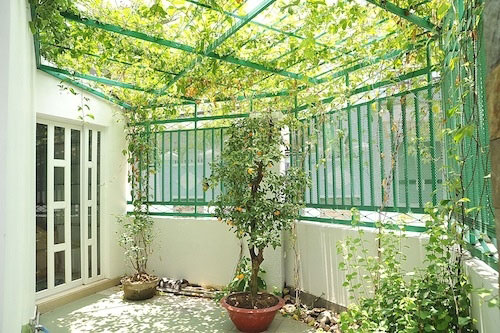 4 cách chống nóng đơn giản, hiệu quả cho nhà chật hẹp