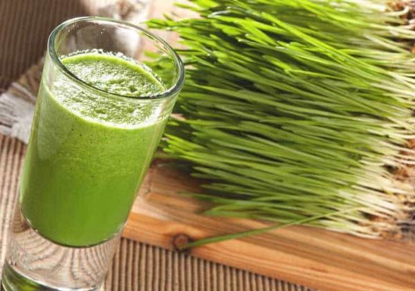 Những lợi ích tuyệt vời của cỏ lúa mì đối với sức khỏe