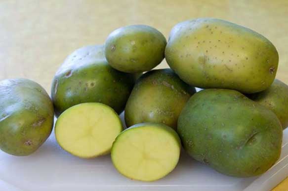 5 thực phẩm hàng ngày độc hại, có thể gây tử vong