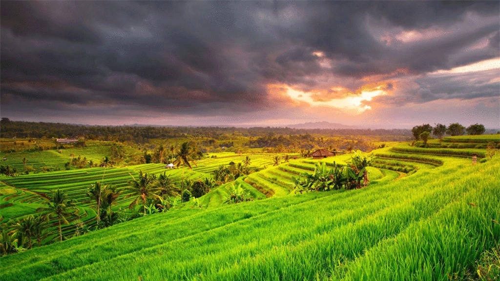 Bali hòn đảo thiên đường