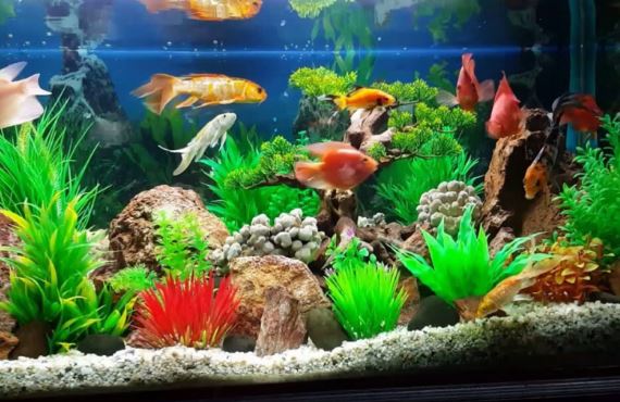 Tiện tay đặt 4 thứ này dưới chân bàn thờ là đắc tội với tổ tiên, chẳng trách gia chủ túng thiếu quanh năm