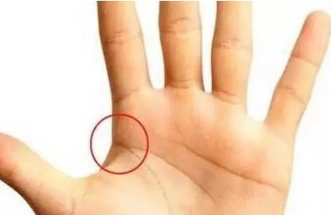 Chỉ cần có 1 trong 4 đường vân này trên lòng bàn tay: Bạn không thành đại gia cũng có quyền lực, phú quý