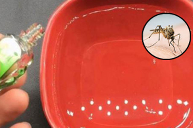 Tr&#x1B0;&#x1EDB;c khi ng&#x1EE7; &#x111;&#x1EB7;t b&#xE1;t n&#x1B0;&#x1EDB;c n&#xE0;y trong ph&#xF2;ng, mu&#x1ED7;i kh&#xF4;ng d&#xE1;m b&#xE9;n m&#x1EA3;ng, c&#x1EA3; nh&#xE0; y&#xEA;n t&#xE2;m ng&#x1EE7; ngon