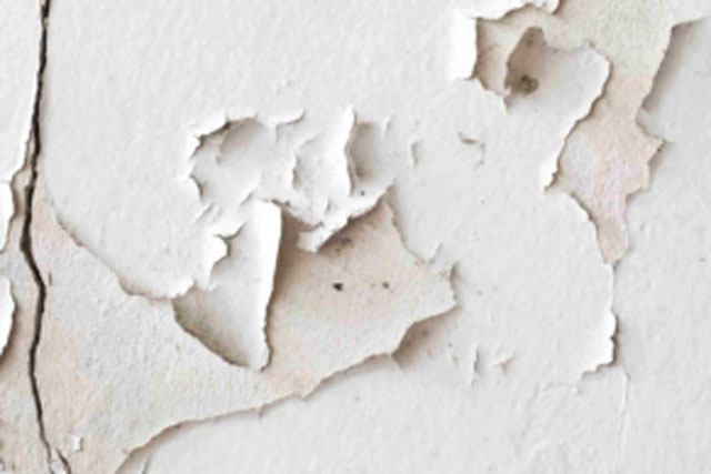 Tường nhà phồng rộp, bong tróc: Đây là cách cách xử lý đơn giản, tiết kiệm nhất